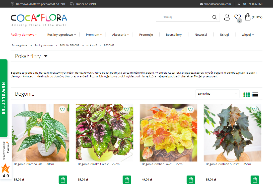 Jak dbać o begonie, by kwitły cały sezon?