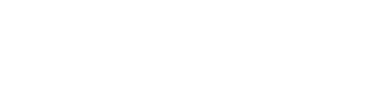 Logo Dźwigi  i Zwyżki  EFEKT